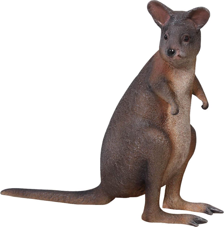 Pademelon Red Necked