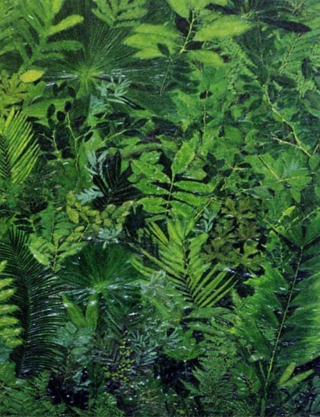 Panel Leaf Frieze Large