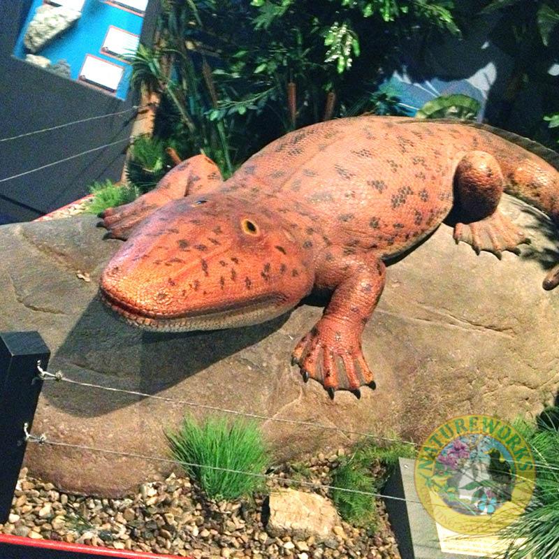 Natureworks Australia Paracyclotosaurus Davidi - Giant Labyrinthodont amphibian - Natureworks reproduction - V3