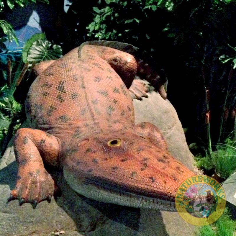 Natureworks Australia Paracyclotosaurus Davidi - Giant Labyrinthodont amphibian - Natureworks reproduction - V4