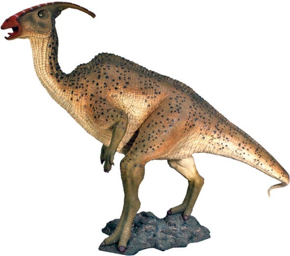 Parasaurolophus Dinosaur
