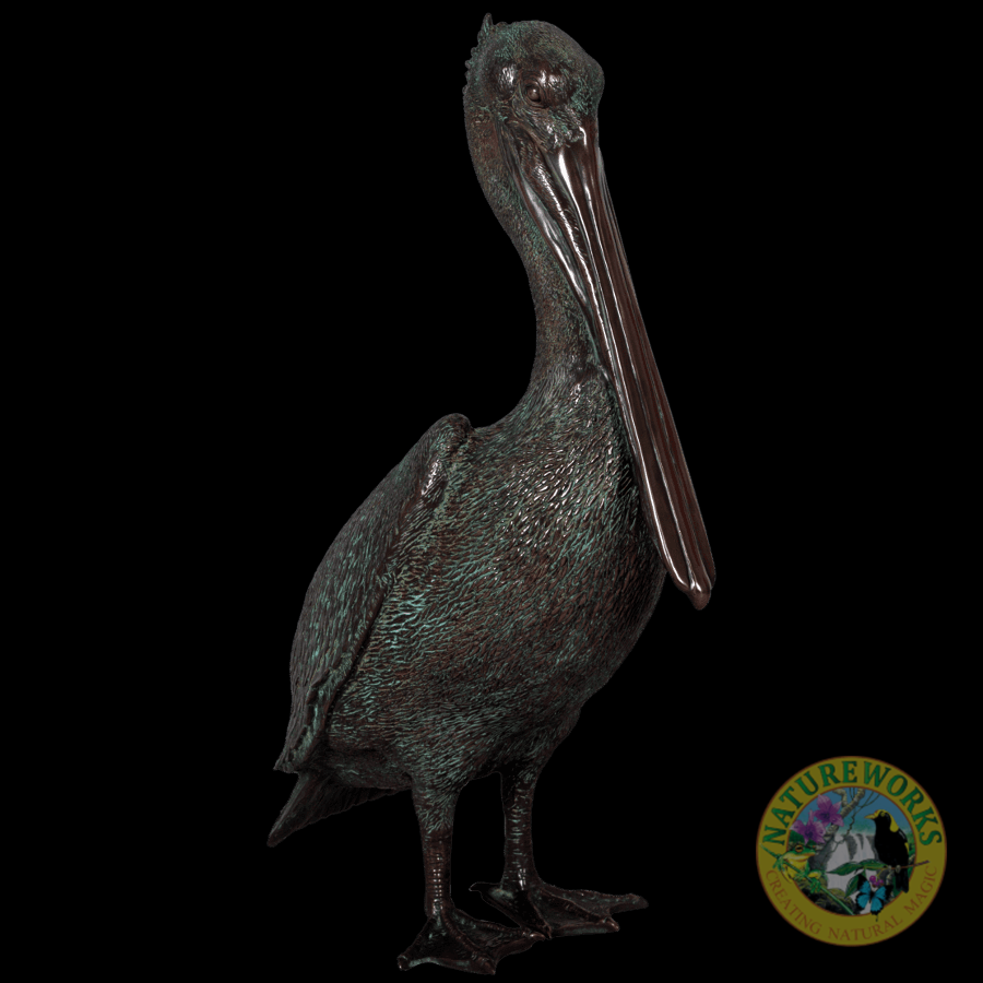 Natureworks Australia Pelican standing - life-size - bronze finish