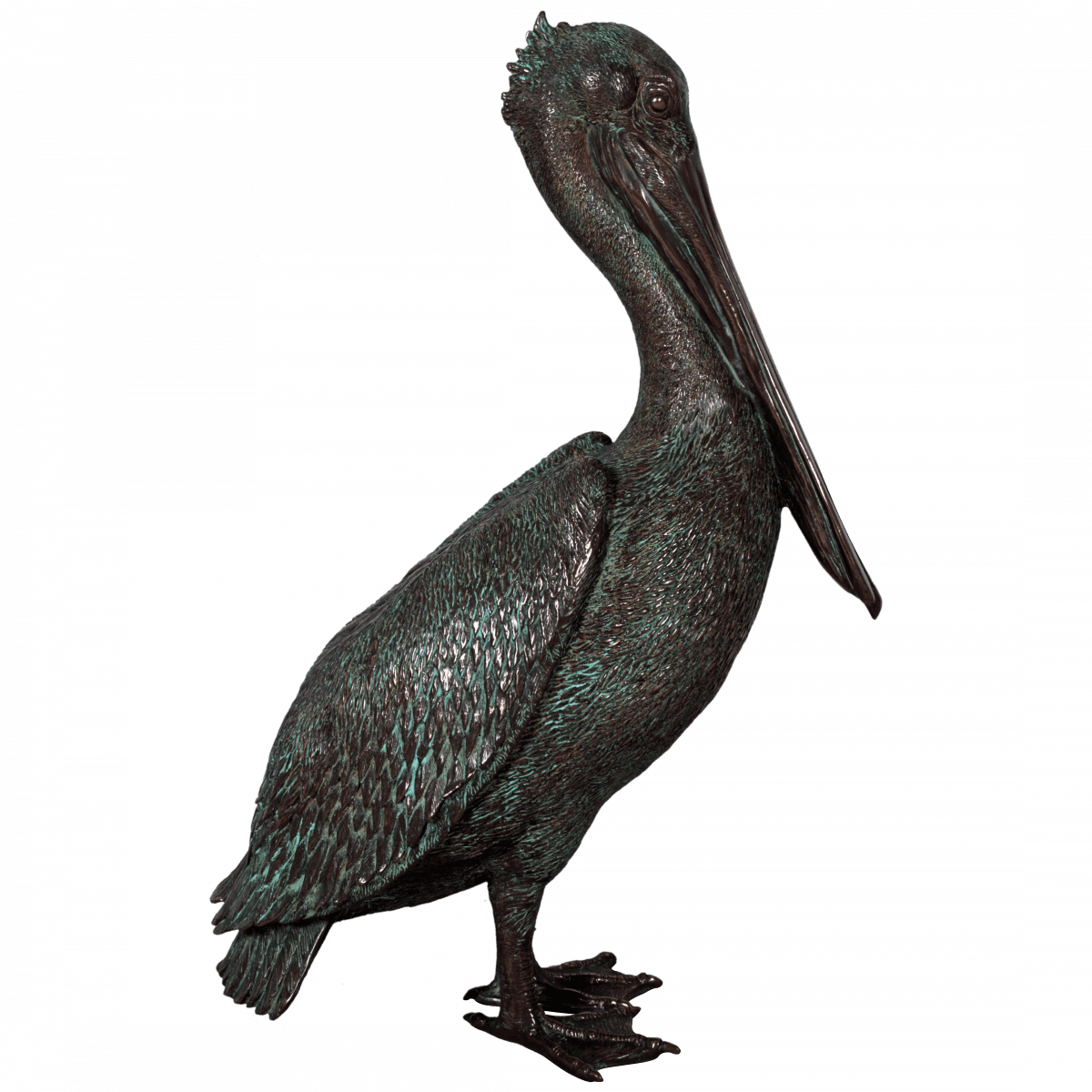 Natureworks Australia Pelican standing - life-size - bronze finish