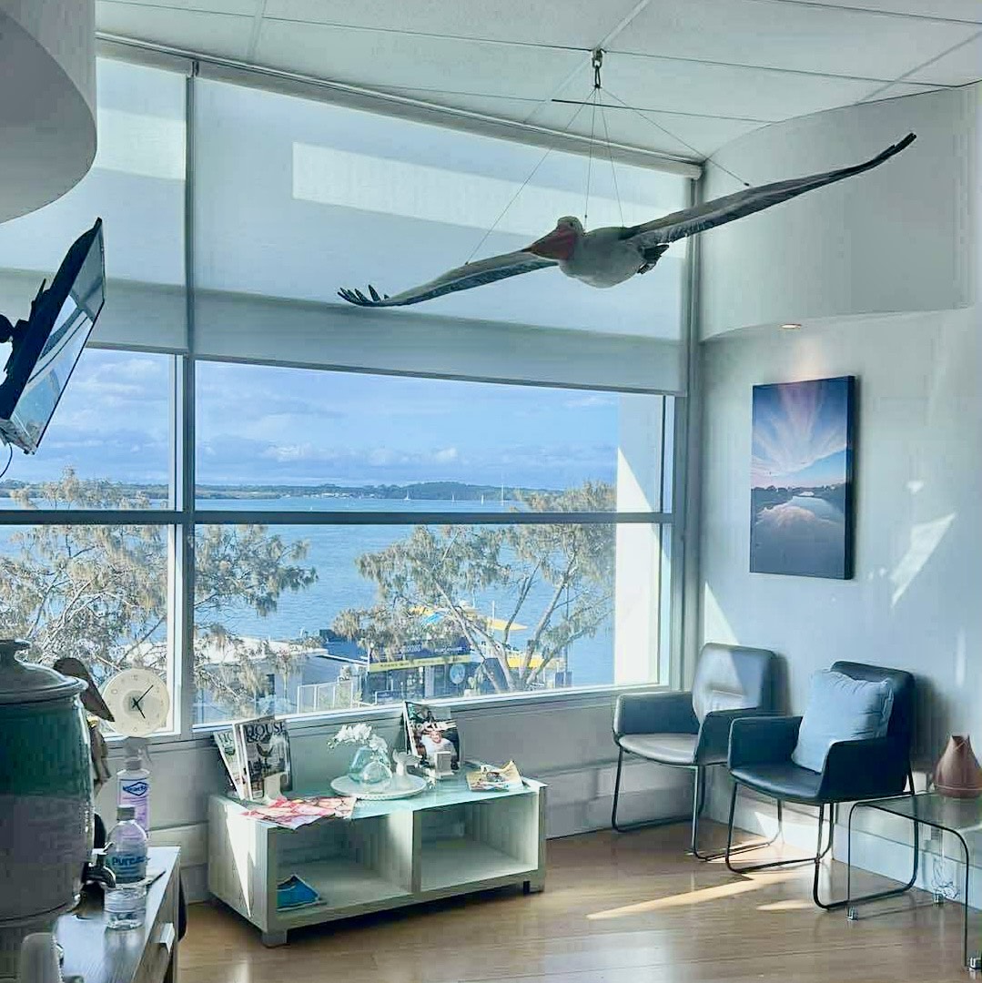 Natureworks Australia Pelican flying/Hanging - shown in customer reception area.