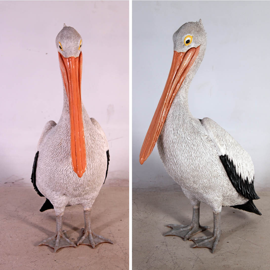 Natureworks Australia Pelican standing - showing front views - 090073