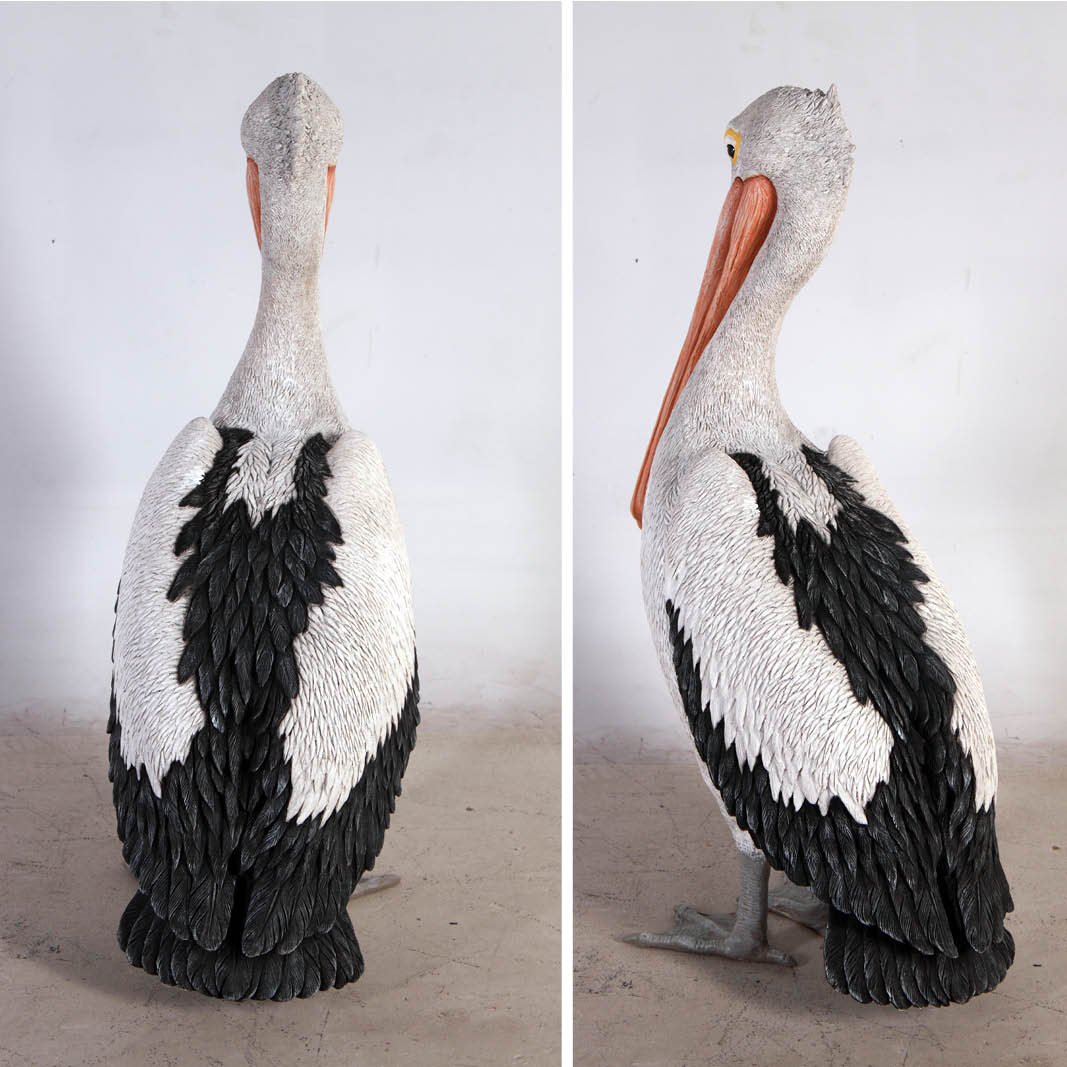 Natureworks Australia Pelican standing - showing rear views - 090073