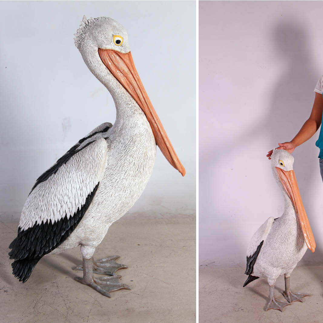 Natureworks Australia Pelican standing - showing side view- 090073