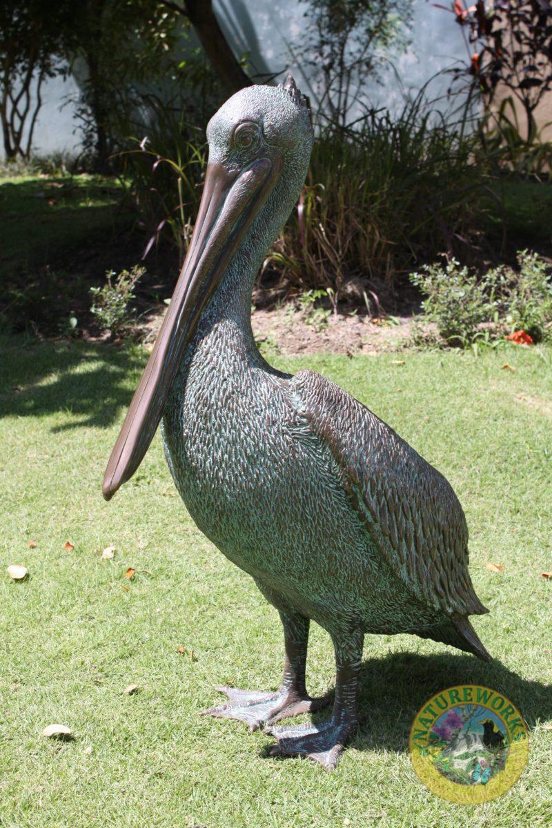 Natureworks Australia Pelican standing - with a greenish bronze finish