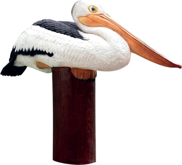 Pelican on Post