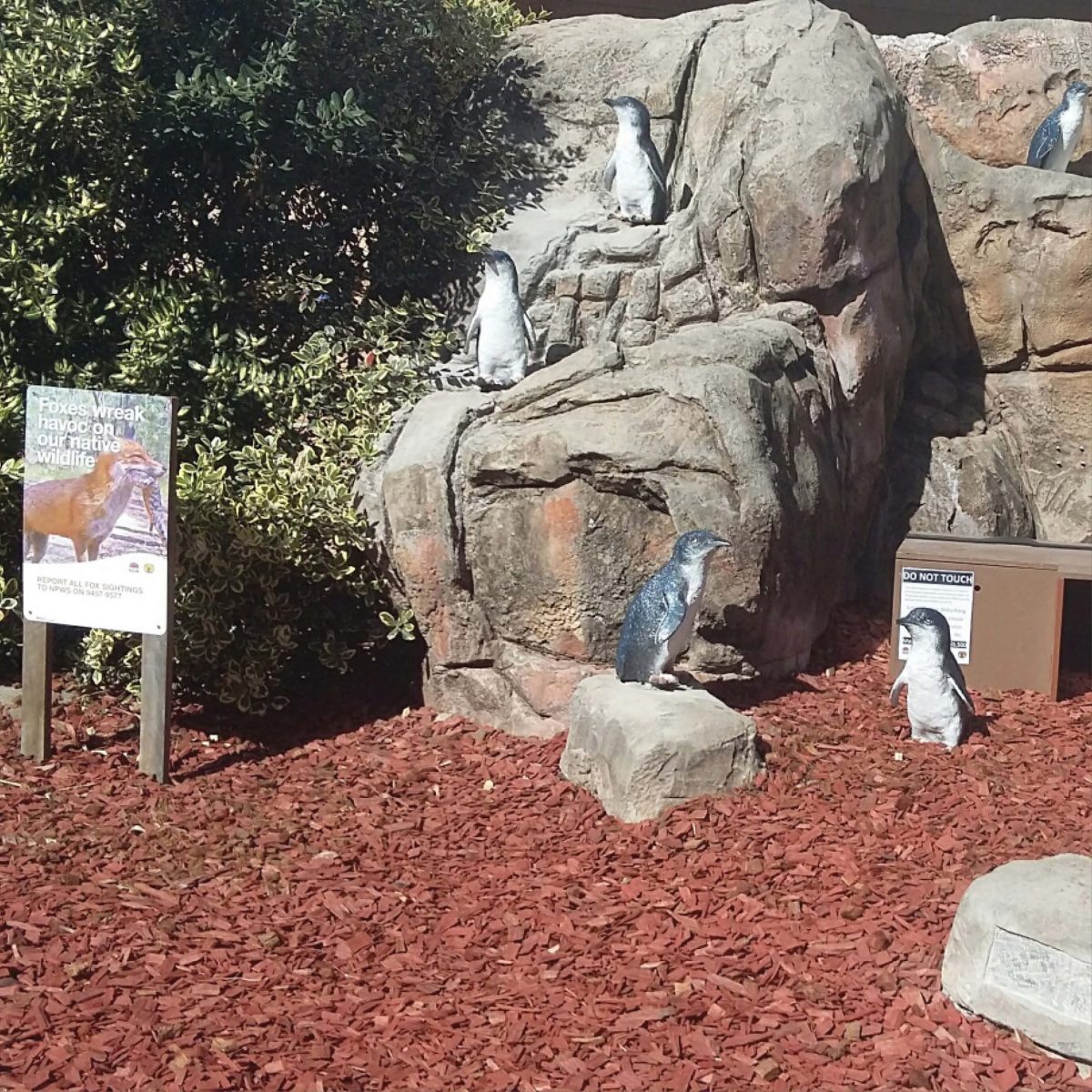 Natureworks Australia Penguin Fairy - Image 8