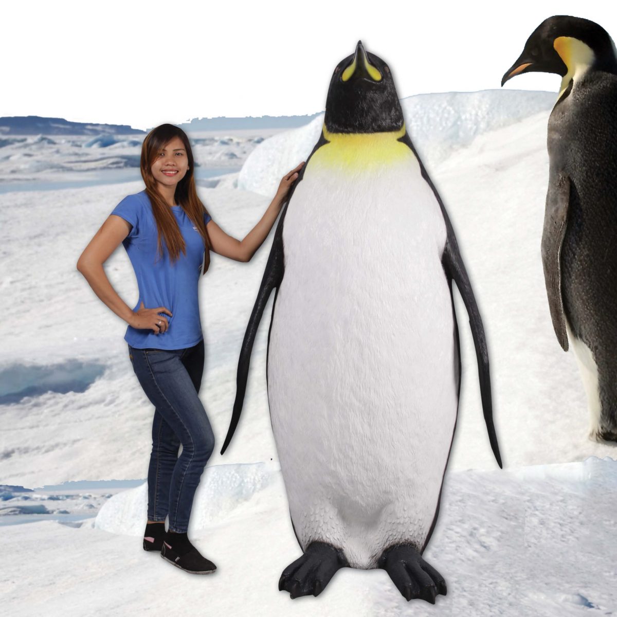 Natureworks Australia King Penguin statue - 6ft high - shown here with lady