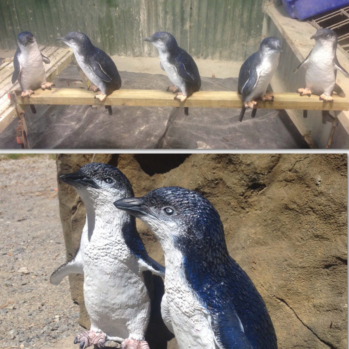 Natureworks Australia Penguin Fairy - Image 10