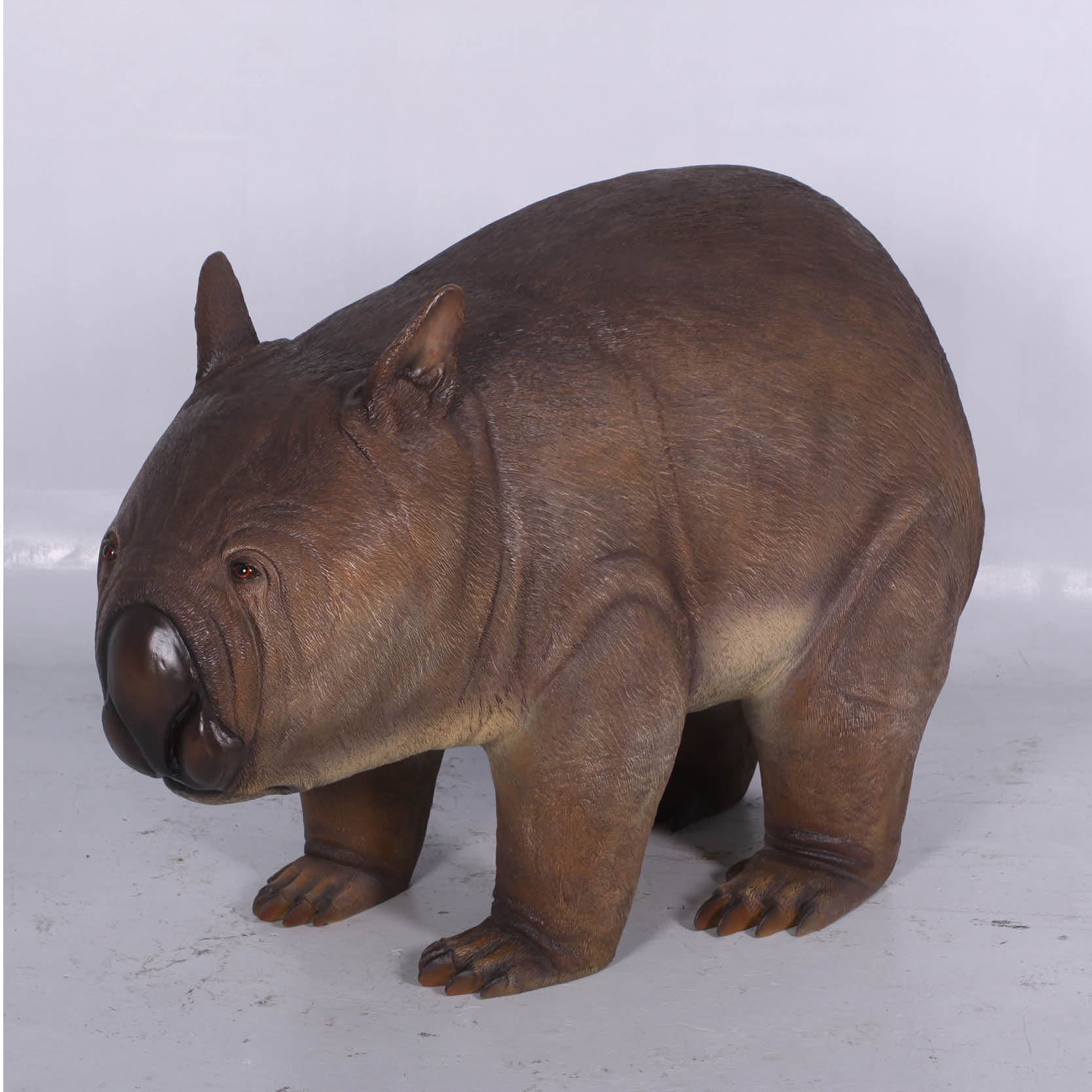 Natureworks Australia Phascolonus Wombat-Megafauna - Image 2