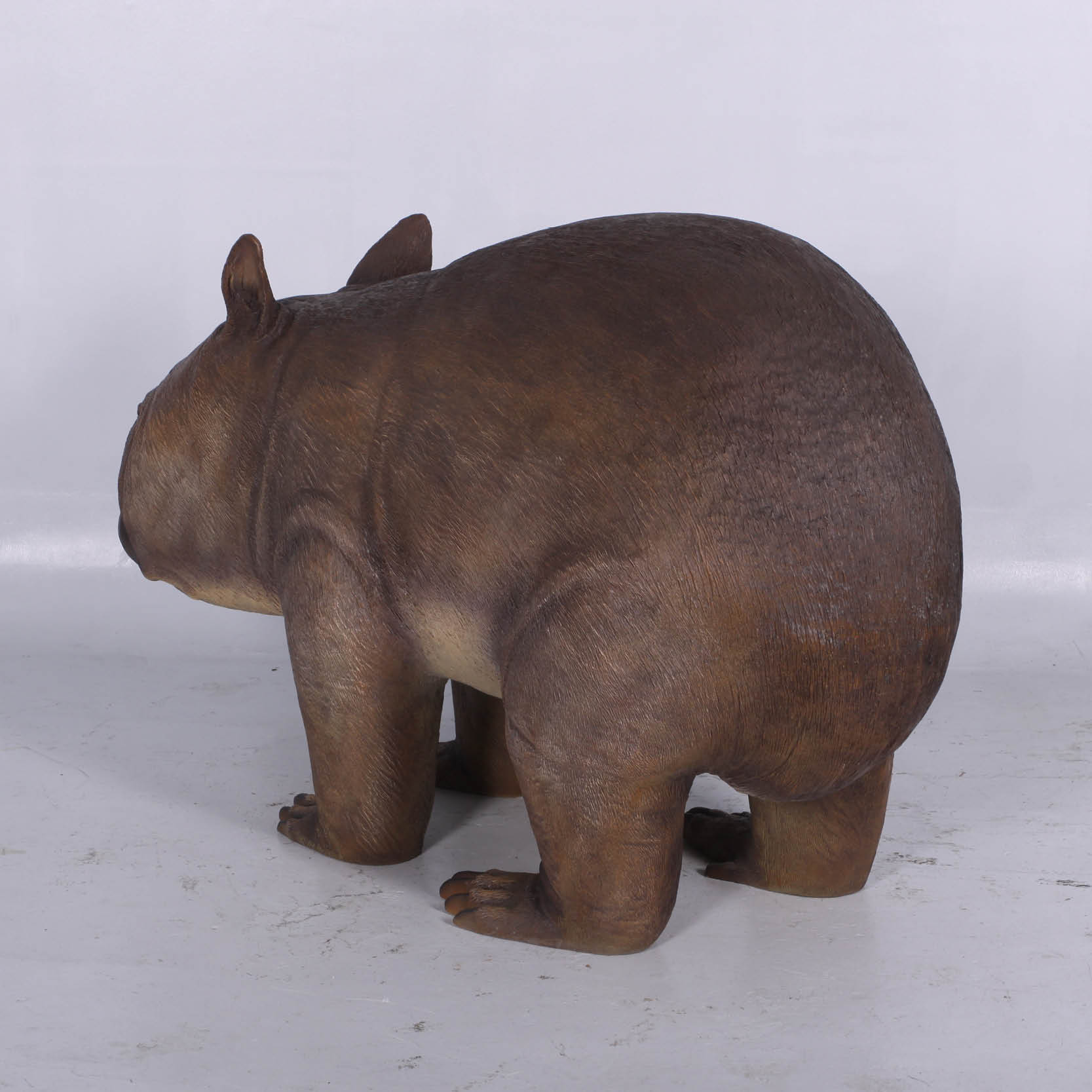Natureworks Australia Phascolonus Wombat - Australian Megafauna reconstruction- rear angle view-NW130093