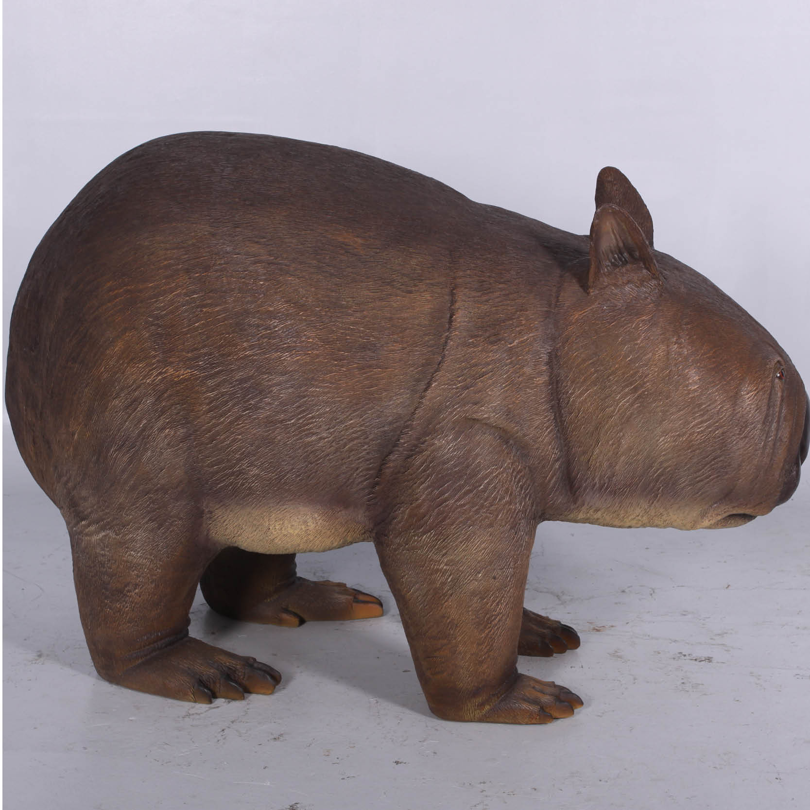 Natureworks Australia Phascolonus Wombat - Australian Megafauna reconstruction- side view-NW130093