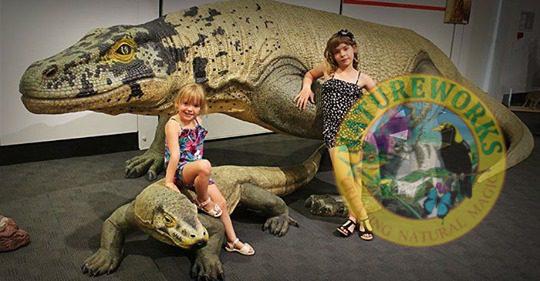 Natureworks Australia Megalania - Megafauna Lizard - Komodo Dragon version - Image 7