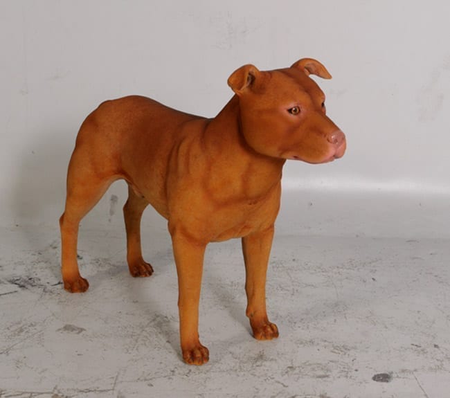 Pit bull dog garden statue for Sale