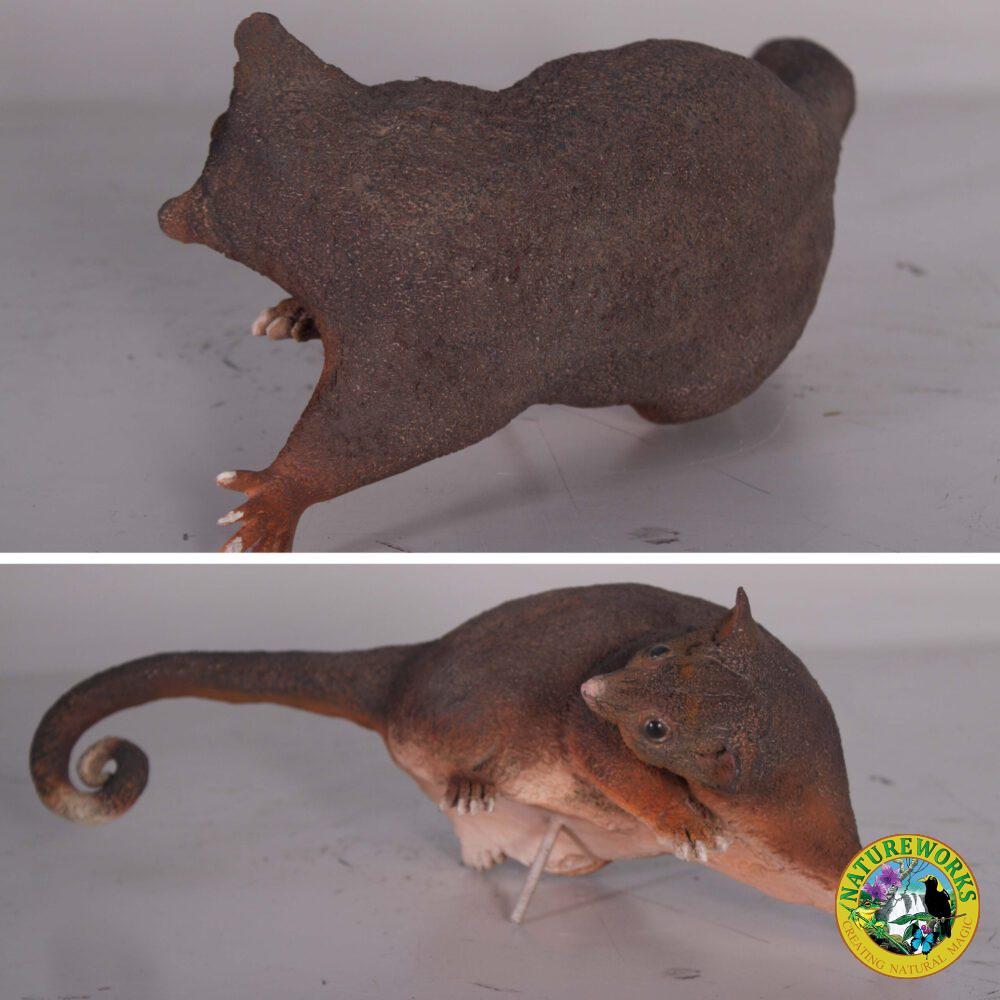 Natureworks Australia Possum - Ringtailed statue - 090036- - rear and angle view