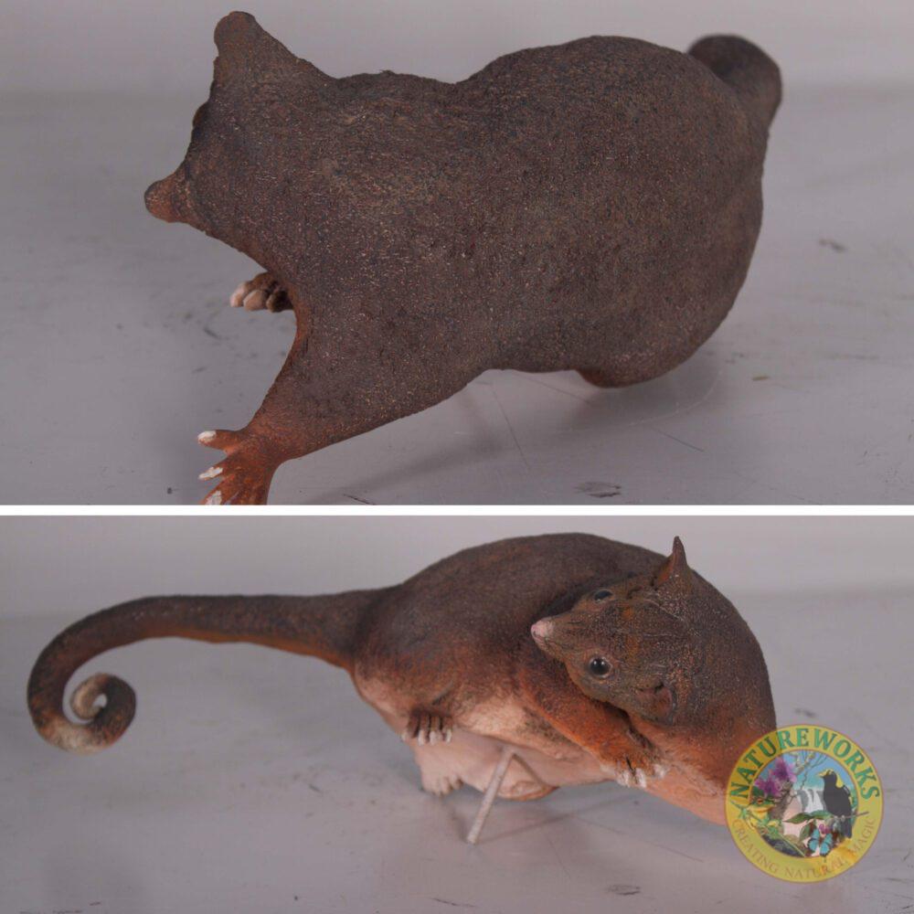 Natureworks Australia Possum - Ringtailed statue - 090036- - rear and angle view