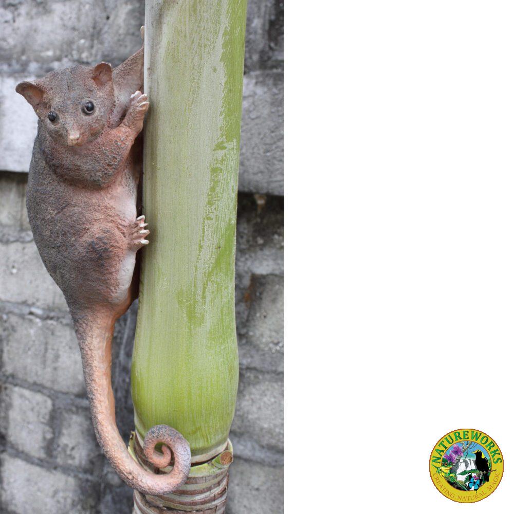 Natureworks Australia Possum - Ringtailed statue - 090036- - shown on tree