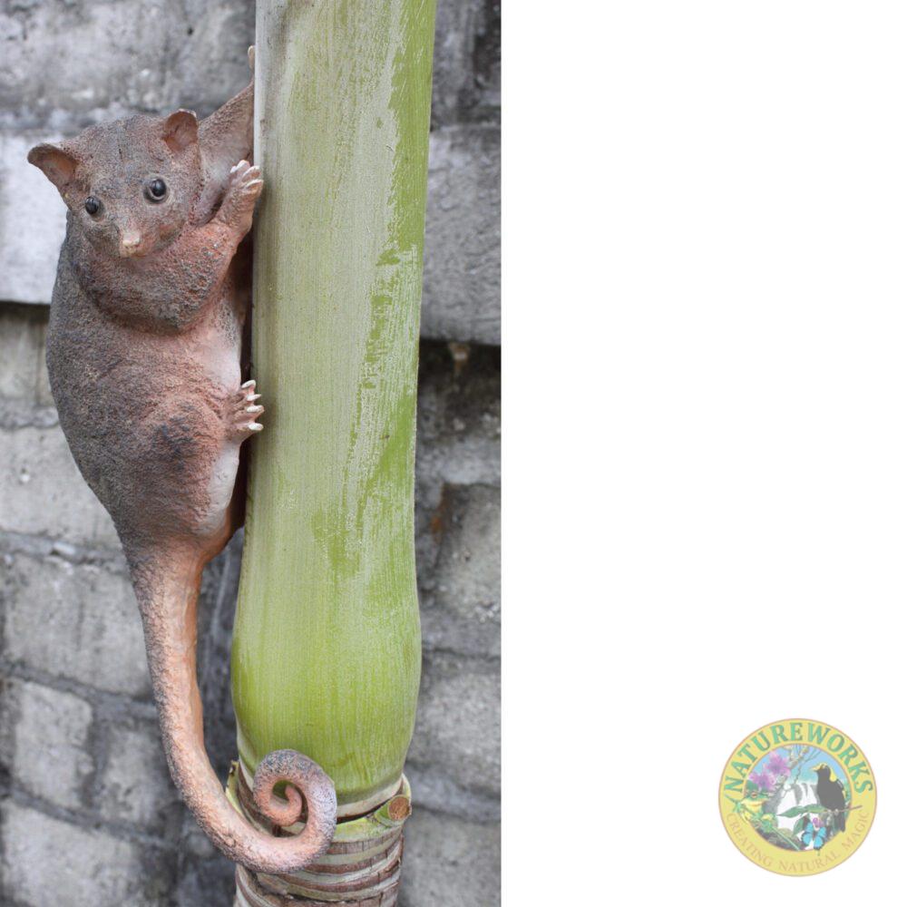 Natureworks Australia Possum - Ringtailed statue - 090036- - shown on tree