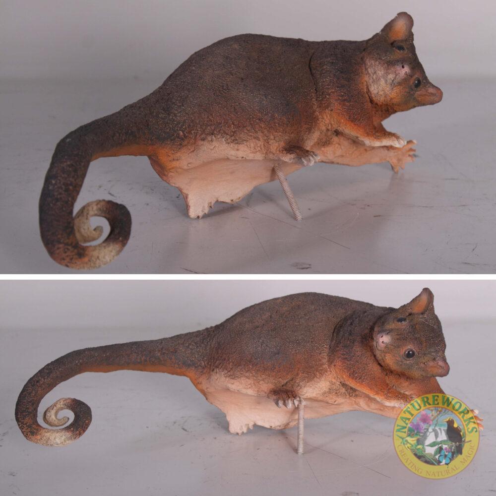 Natureworks Australia Possum - Ringtailed statue - 090036- - side view