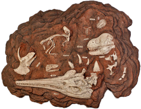 prehistoric fossil dig 110102