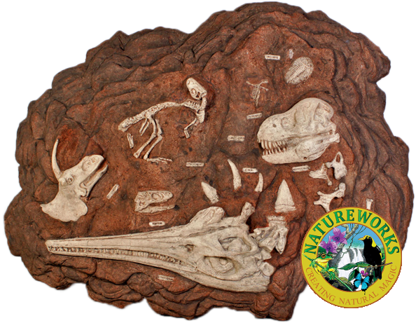 prehistoric fossil dig 110102