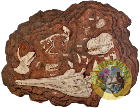 prehistoric fossil dig 110102