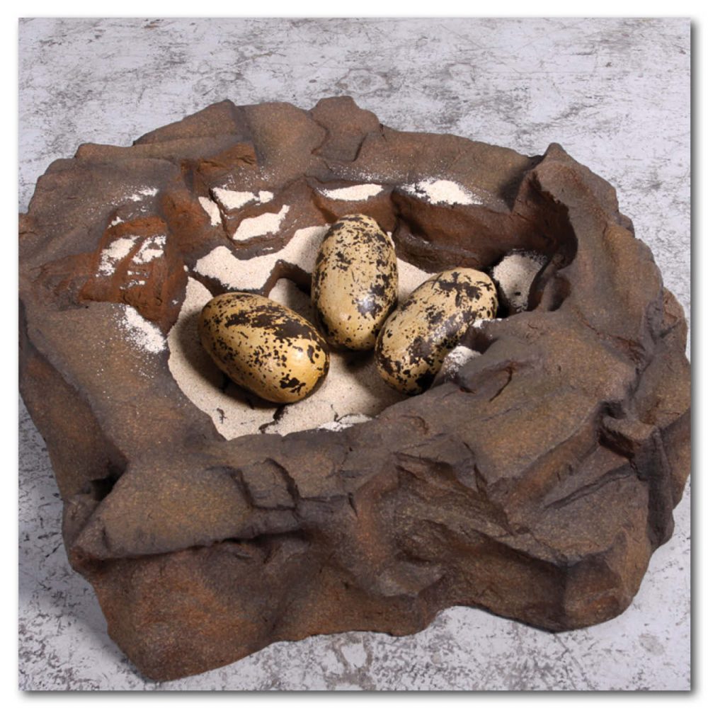 Prehistoric Dinosaur Eggs Theropod  inch Product Image V px px