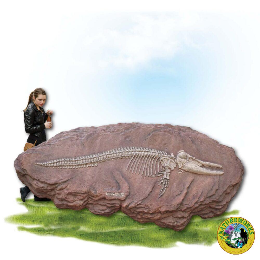 Prehistoric Dinosaur Fossil Digs Australian dolphin fossil dig Product Image px px