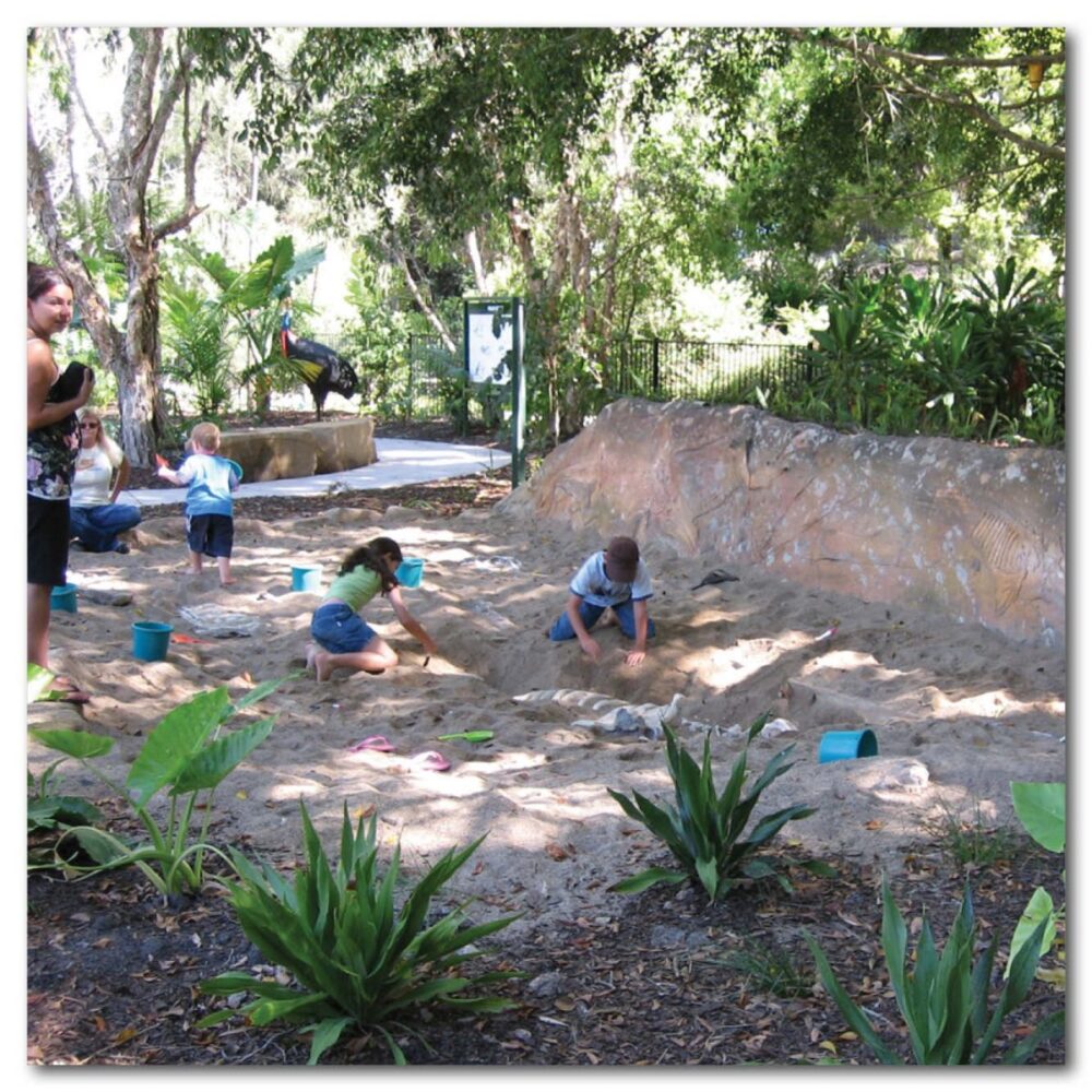 Prehistoric Dinosaur Fossil Digs Australian dolphin fossil dig Product Image  px px