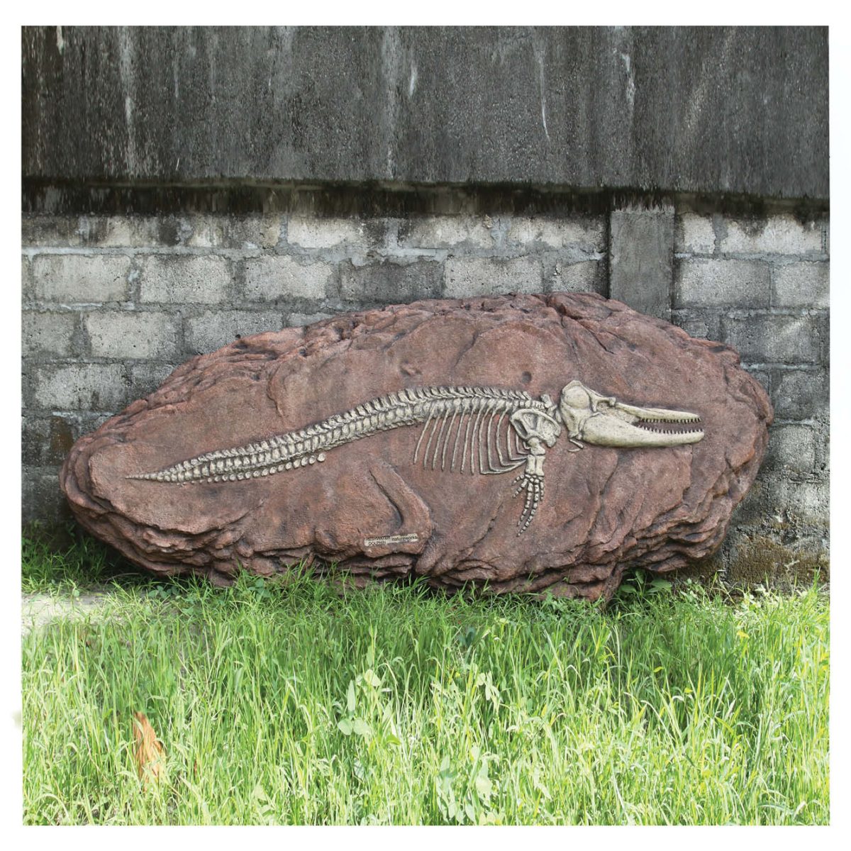 Natureworks Australia Prehistoric Dinosaur Fossil Digs Australian dolphin fossil dig Product Image V px px