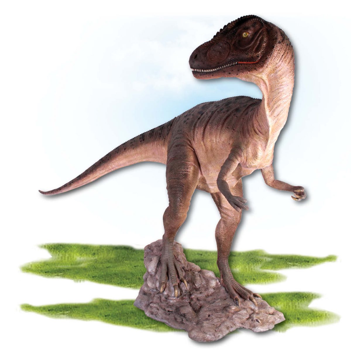 Natureworks Australia Prehistoric Dinosaur sculpture Allosaurs dinosaur mouth closed Product Image V px px