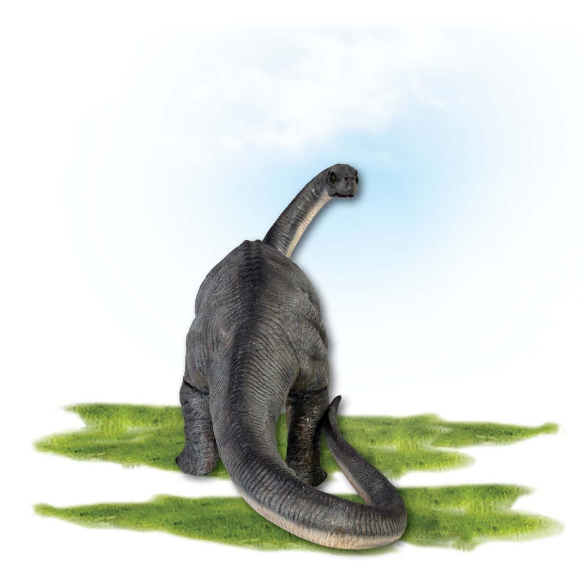 Natureworks Australia Prehistoric Dinosaur sculpture Apatosaurus Dinosaur definitive version Product Image V px px