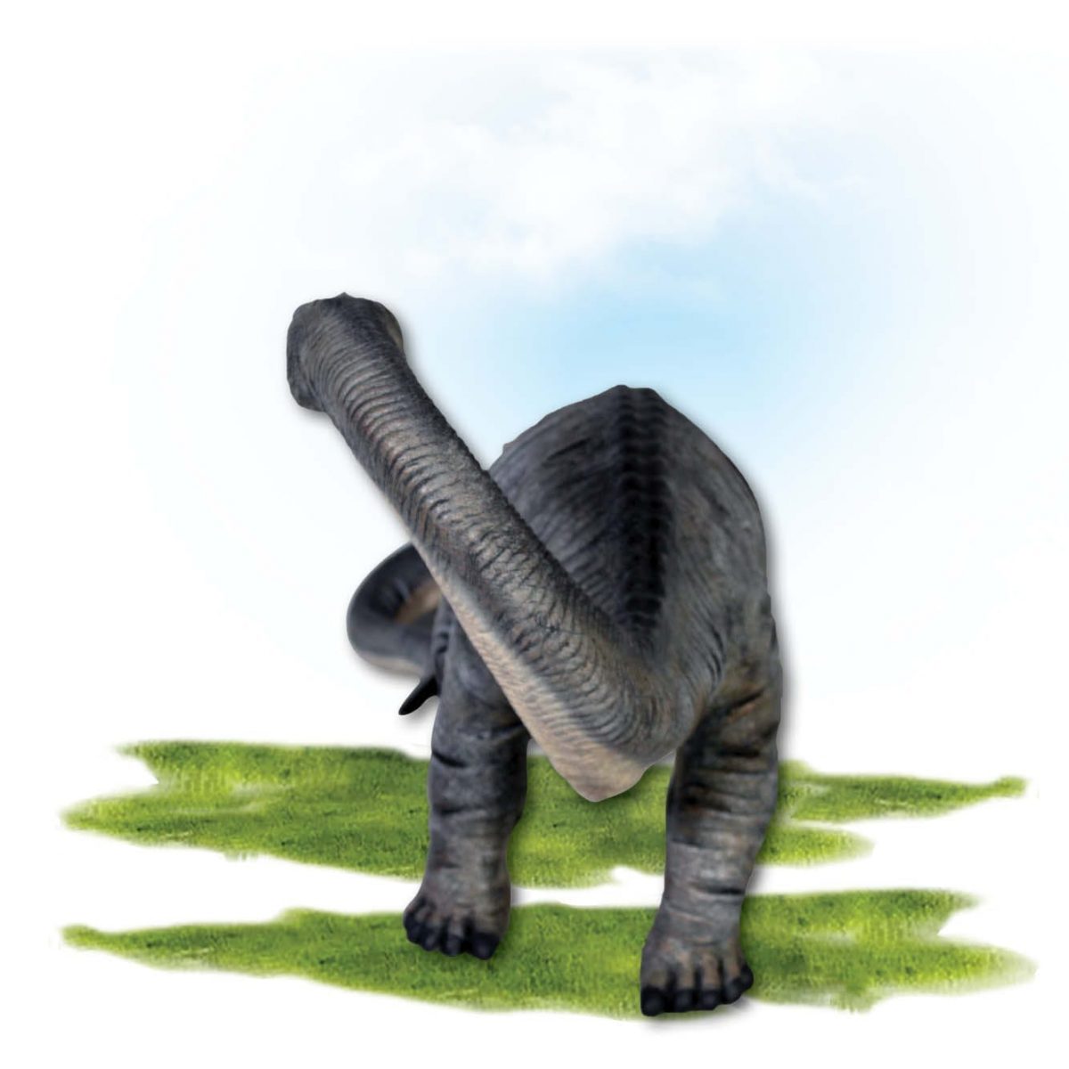 Natureworks Australia Prehistoric Dinosaur sculpture Apatosaurus Dinosaur definitive version Product Image V px px