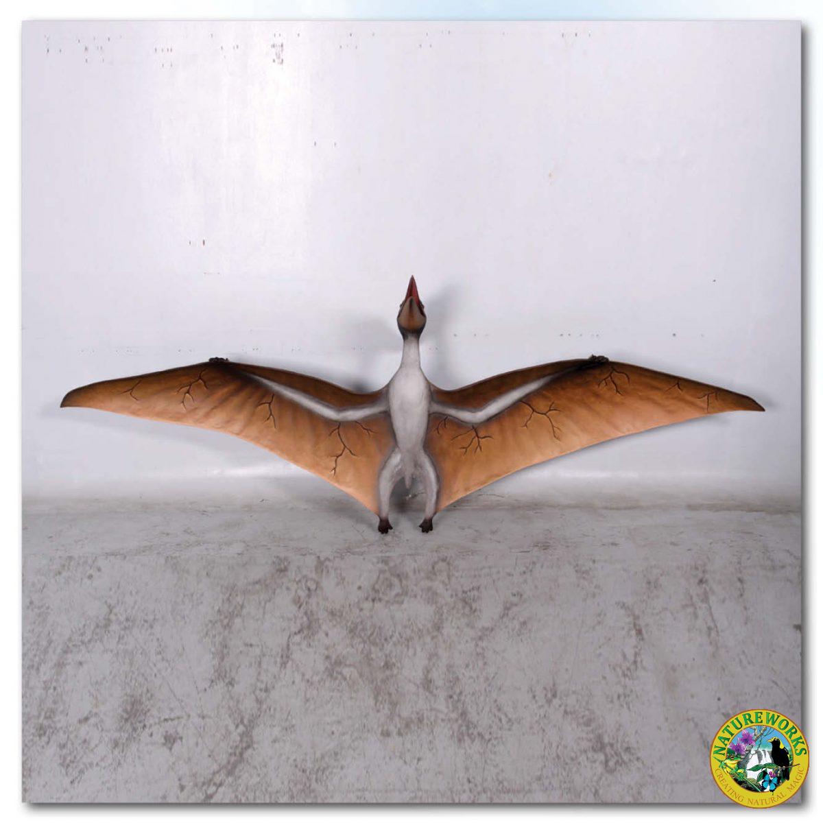 Natureworks Australia Prehistoric Dinosaur sculpture Pteranodon hanging m Product Image V px px