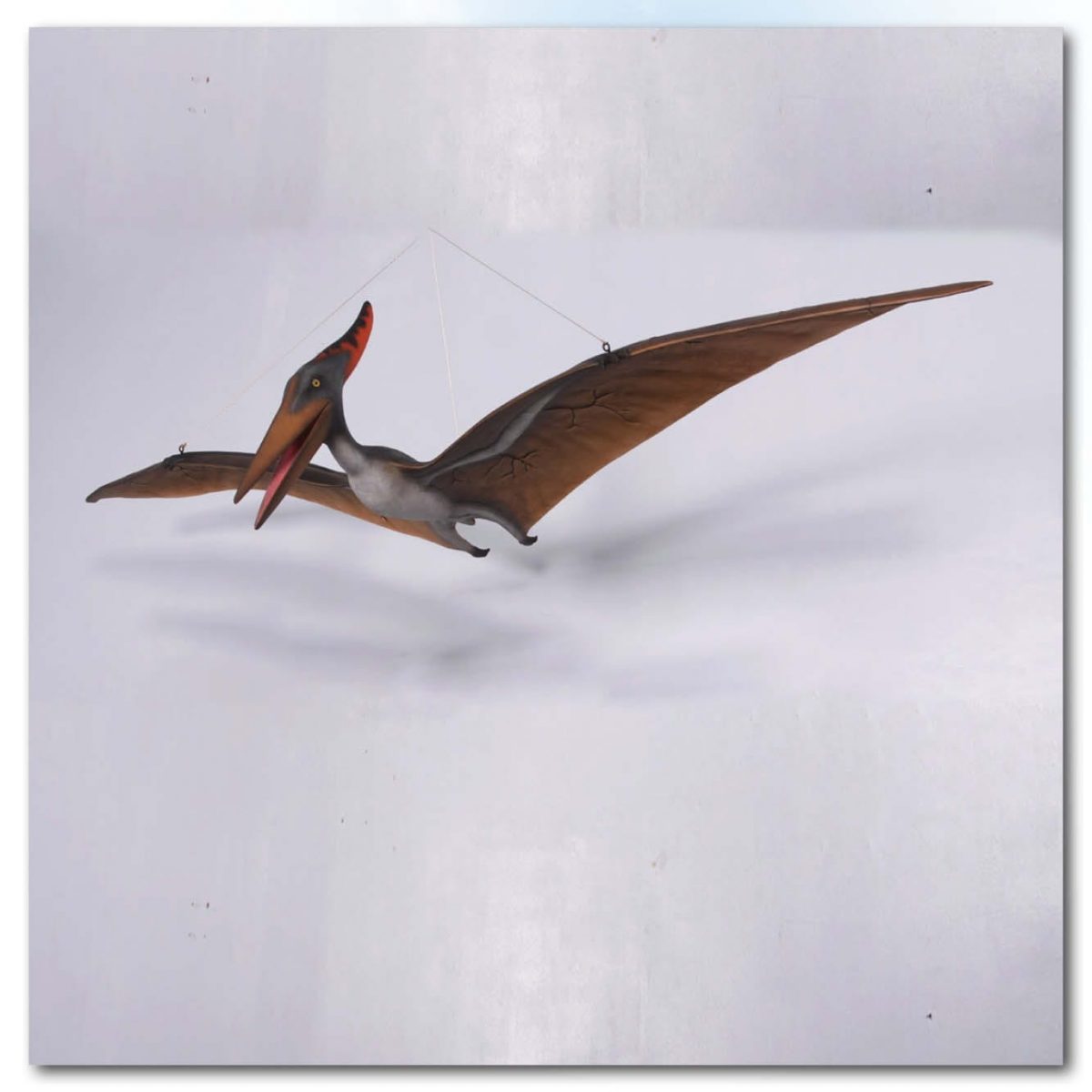 Natureworks Australia Prehistoric Dinosaur sculpture Pteranodon hanging m Product Image V px px