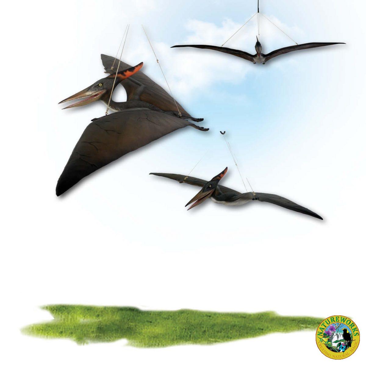 Natureworks Australia Prehistoric Dinosaur sculpture Pteranodon hanging Definitive Product Image V px px