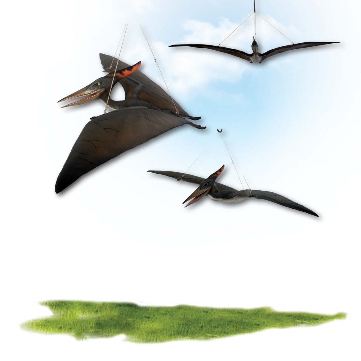 Natureworks Australia Prehistoric Dinosaur sculpture Pteranodon hanging Definitive Product Image V px px