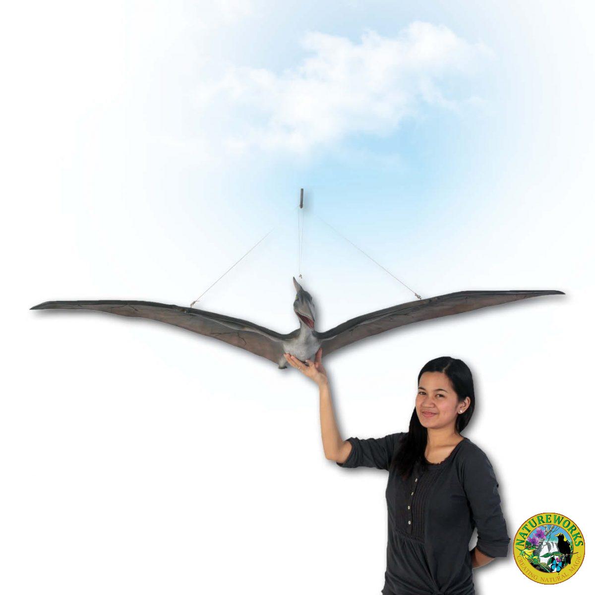 Natureworks Australia Prehistoric Dinosaur sculpture Pteranodon hanging Definitive Product Image V px px