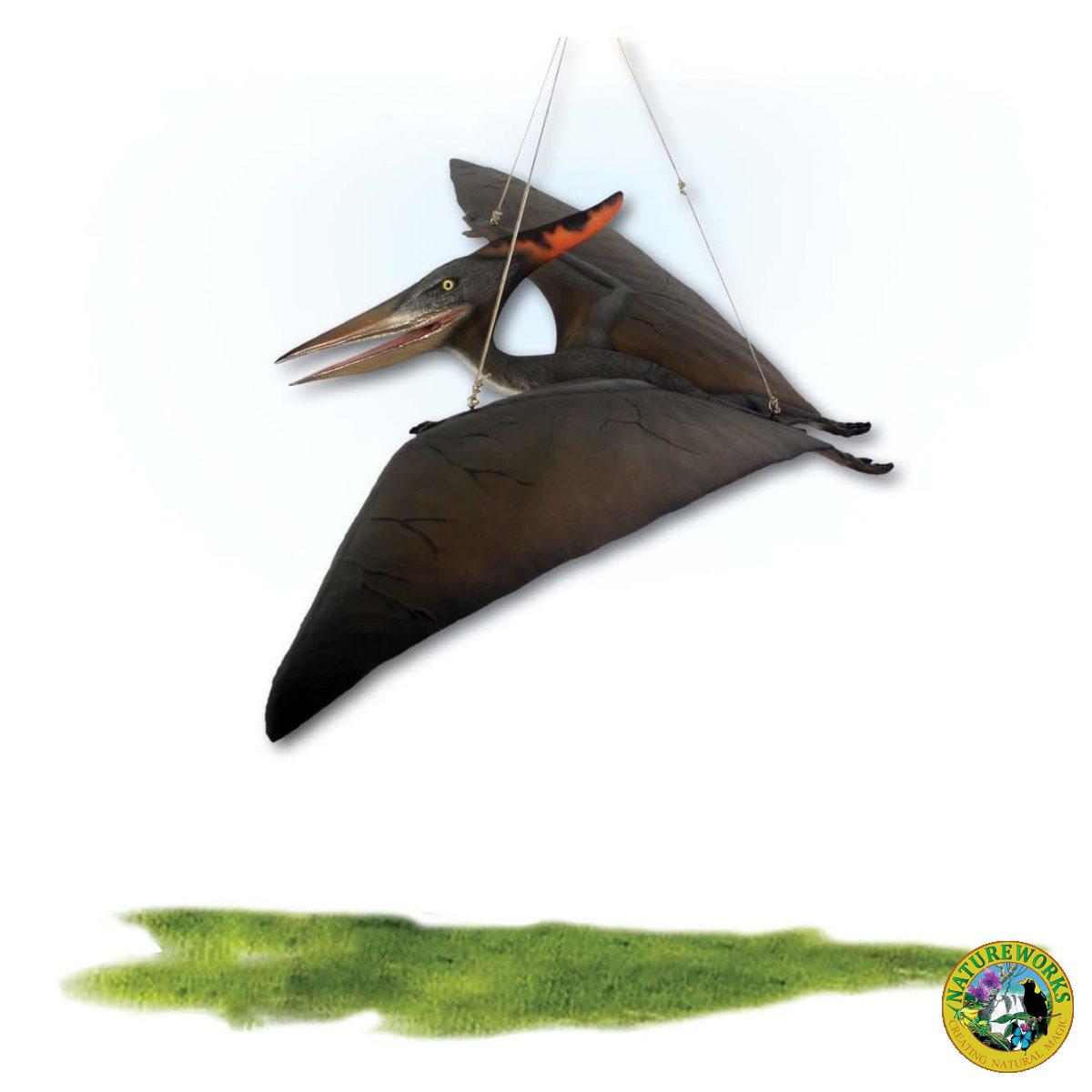 Natureworks Australia Prehistoric Dinosaur sculpture Pteranodon hanging Definitive Product Image V px px