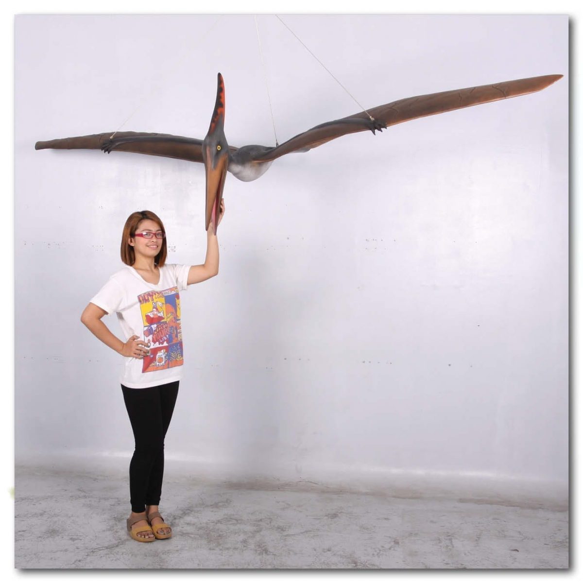 Natureworks Australia Prehistoric Dinosaur sculpture Pteranodon hanging m Product Image V px px