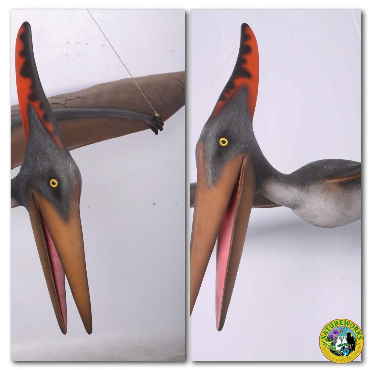 Natureworks Australia Prehistoric Dinosaur sculpture Pteranodon hanging m Product Image V px px