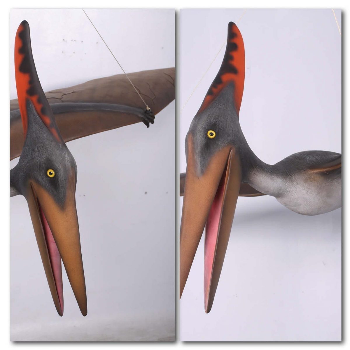 Natureworks Australia Prehistoric Dinosaur sculpture Pteranodon hanging m Product Image V px px