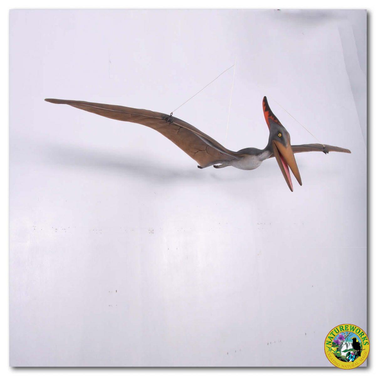 Natureworks Australia Prehistoric Dinosaur sculpture Pteranodon hanging m Product Image V px px
