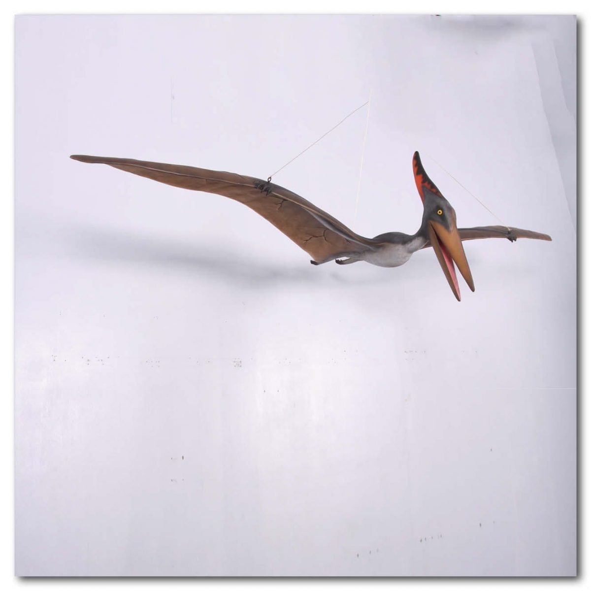 Natureworks Australia Prehistoric Dinosaur sculpture Pteranodon hanging m Product Image V px px