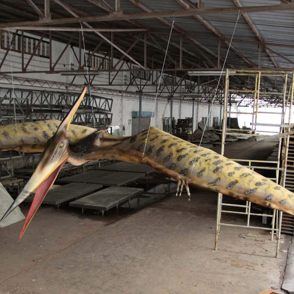 Pteranodon Dinosaur Flying 8m Wingspan - Image 8