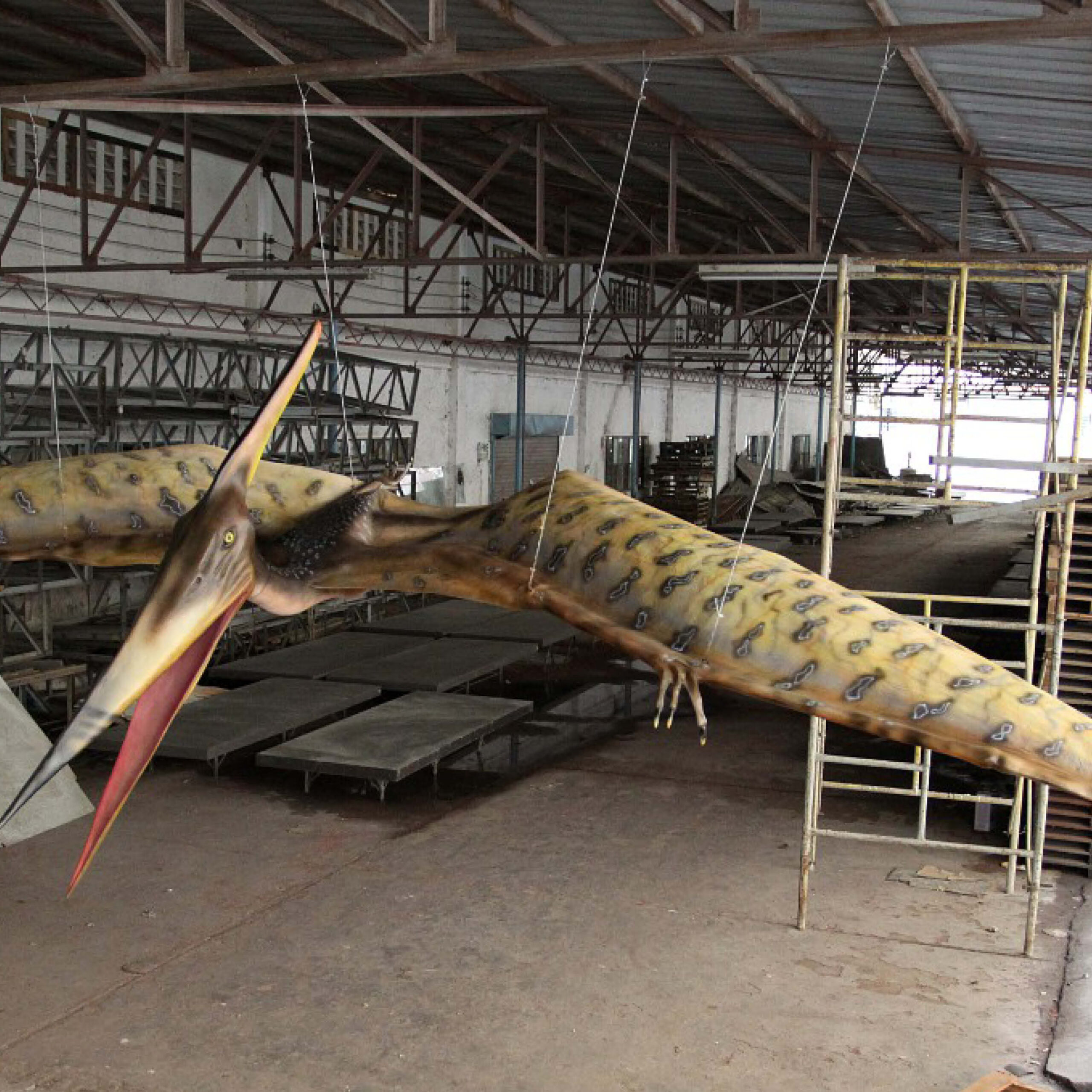 Natureworks Australia Pteranodon Dinosaur Flying 8m Wingspan - Image 8