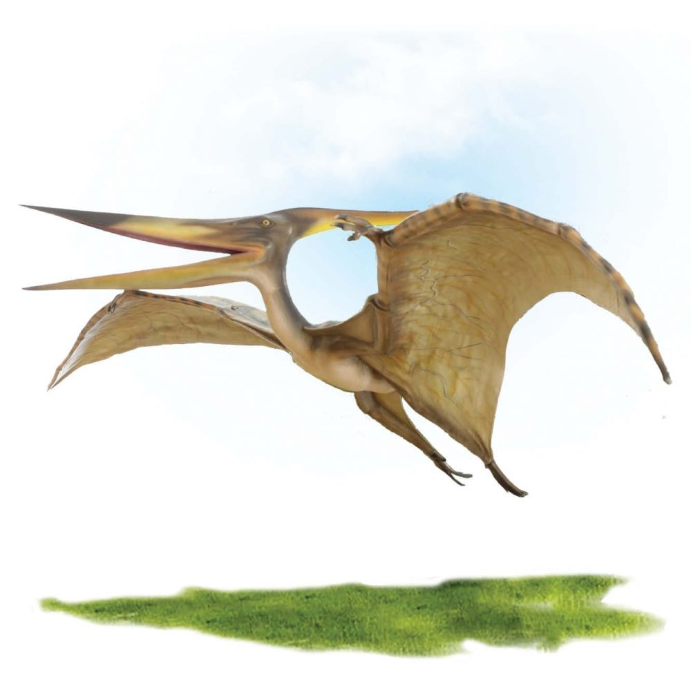 Prehistoric Dinosaur sculpture Pteranodon hanging m wing span Product Image V px px